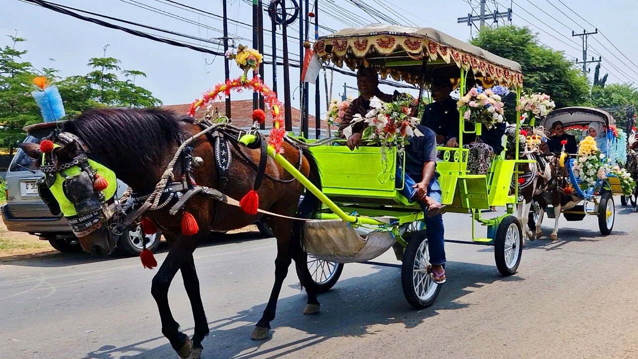 NAIK DELMAN | NAIK DELMAN ISTIMEWA | LAGU ANAK VIRAL | LAGU ANAK INDONESIA