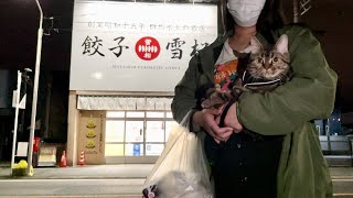 一緒にお出かけしたくて24時間営業の餃子屋さんについてきてしまった猫w