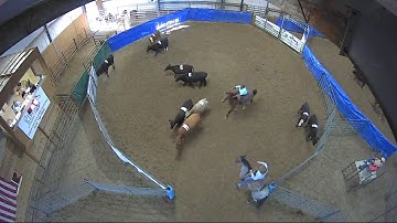 Big Sky Ranch Sorting Saddle Series #4 - #7 SORT - Round #1 - Ride #35