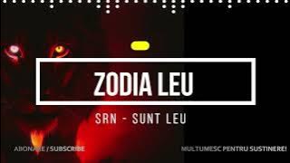 SRN - Sunt LEU (Official) - #leu #muzicaromaneasca