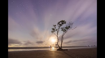 đêm cây cô đơn biển Tân Thành Gò Công Tiền Giang. 06 tháng 03 năm 2021