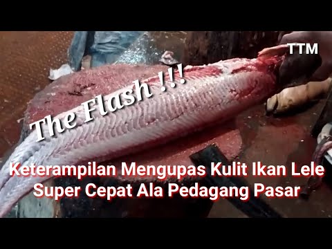 Video: Cara Kulit dan Bersih Lele: 8 Langkah