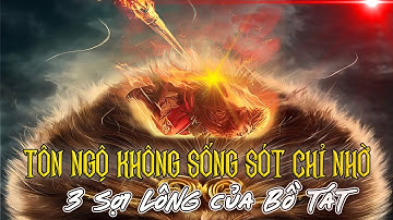 Sự Thật Rúng Động: Ngộ Không Sống Sót Chỉ Nhờ 3 Sợi Lông Của Bồ Tát?