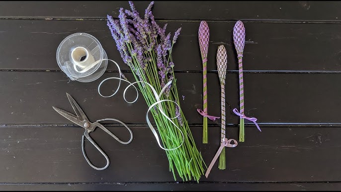 Lavender Wands (60 stems per package) Mystery Thursday