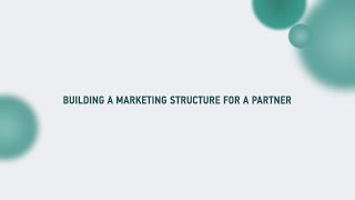 Deholding marketing PART 2 (ENG) - building a marketing structure for a partner