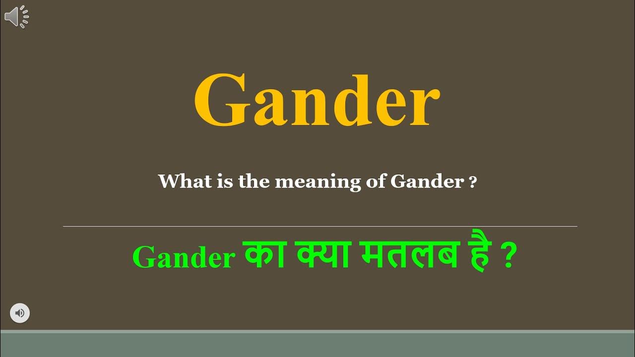 Gander Meaning In Hindi Gander Ka Kya Matlab Hota Hai Daily Use gander-meaning-in-hindi-gander-ka-kya-matlab-hota-hai-daily-use
