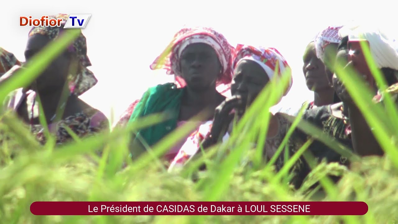 Auto suffisance de riz Visite de Caritas Senegal a LOUL SESSENE