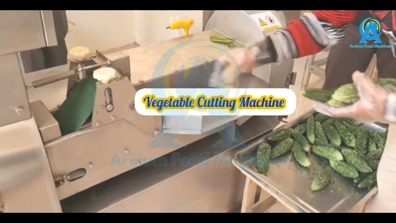 Double Head Root & Leafy Multifunctional Vegetable Cutter | High-Speed Precision Cutting Machine