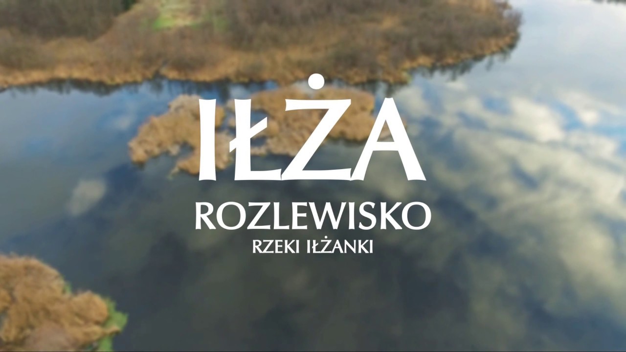 Zalew w Iłży - rozlewisko na rzece Iłżance