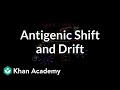 Genetic Shift and Drift