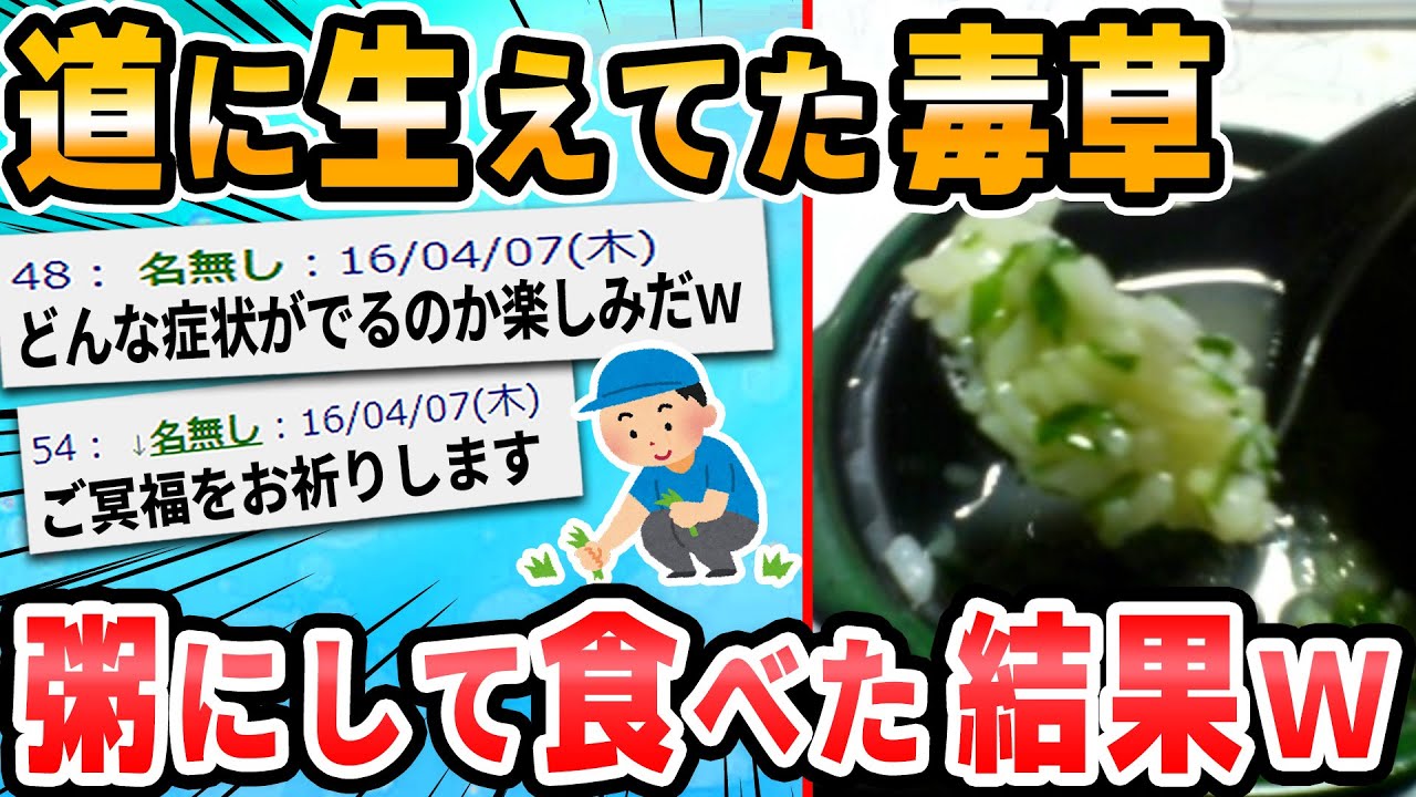 【2ch面白いスレ】謎草粥つくるよｗｗｗ