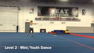 2015-2016 Tryout Demo Video