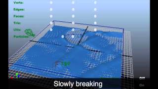 Celebrity Maya: Breaking water tests Net Worth