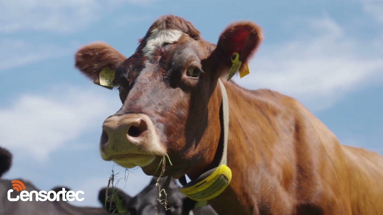 Joseph Leonard Nedap Now