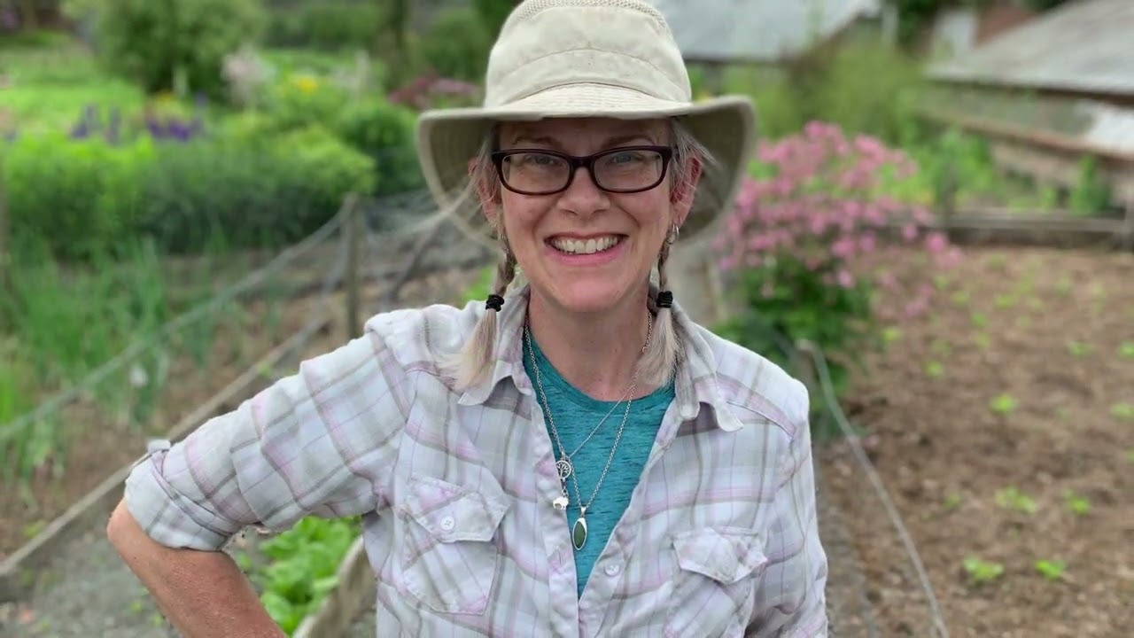 A year at llysdinam through the eyes of the volunteers