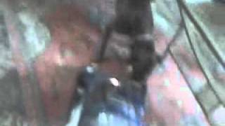 Bella And The Vacuum