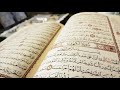 Beautiful Quran Recitation - 10 Hours by Hazaa Al Belushi | No Ads