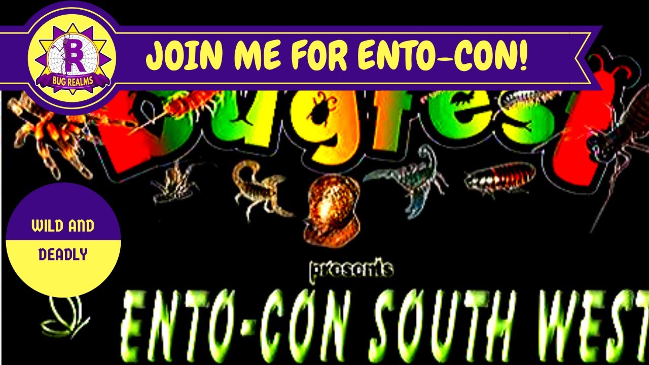 ENTOCON SHOW - WHY YOU MUST ATTEND!