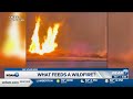 What starts a wildfire — and how to stay safe if one breaks out near you