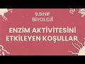 9. Sınıf Biyoloji – Enzim Aktivitesini Etkileyen Koşullar #2026