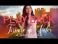 Nonata alves  tesouro de valor playback  lyric 