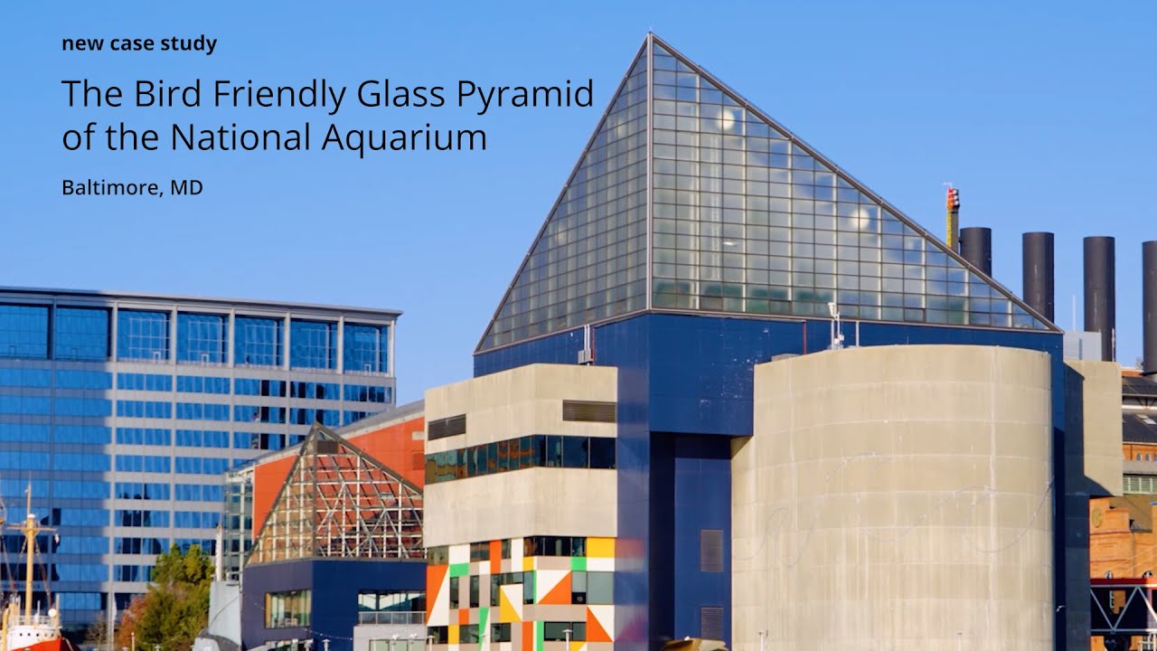 New Case Study: The Bird-Friendly Glass Pyramid of the National Aquarium