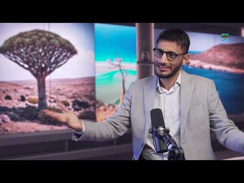جنة سقطرى | شجرة دم الأخوين ذكرها ابن سينا وتدور حولها الكثير من الأساطير