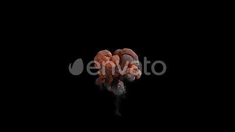 Small Puffy Explosion with Alpha 4K | Motion Graphics - Envato elements