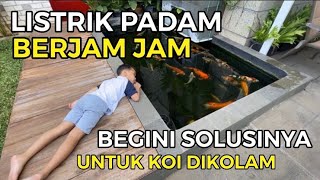 PEMBUATAN KOLAM KOI MINIMALIS DARI AWAL SAMPAI AKHIR