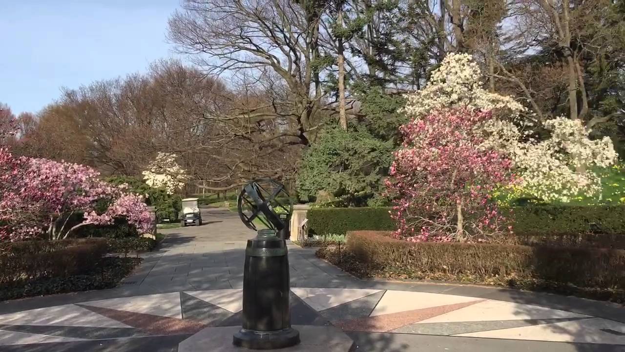 Brooklyn Botanic Garden Brooklyn Botanic Garden Brooklyn Botanic Garden Brooklyn Botanic Garden