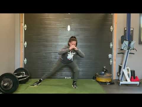 Slider Single Leg Squat