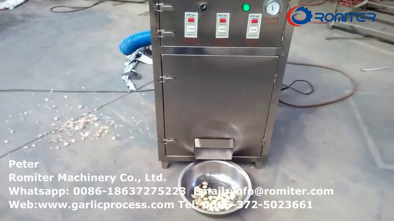 Automatic 100kgh Garlic Clove Peeling Machine with Pneumatic Power for India Customer YouTube
