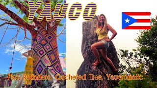 Yauco Adventure! Climb Pico Rodadero, A Crocheted Tree, Painted Houses