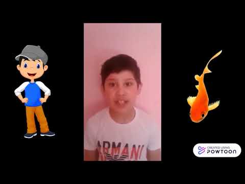 ჩემი საყვარელი პერსონაჟი