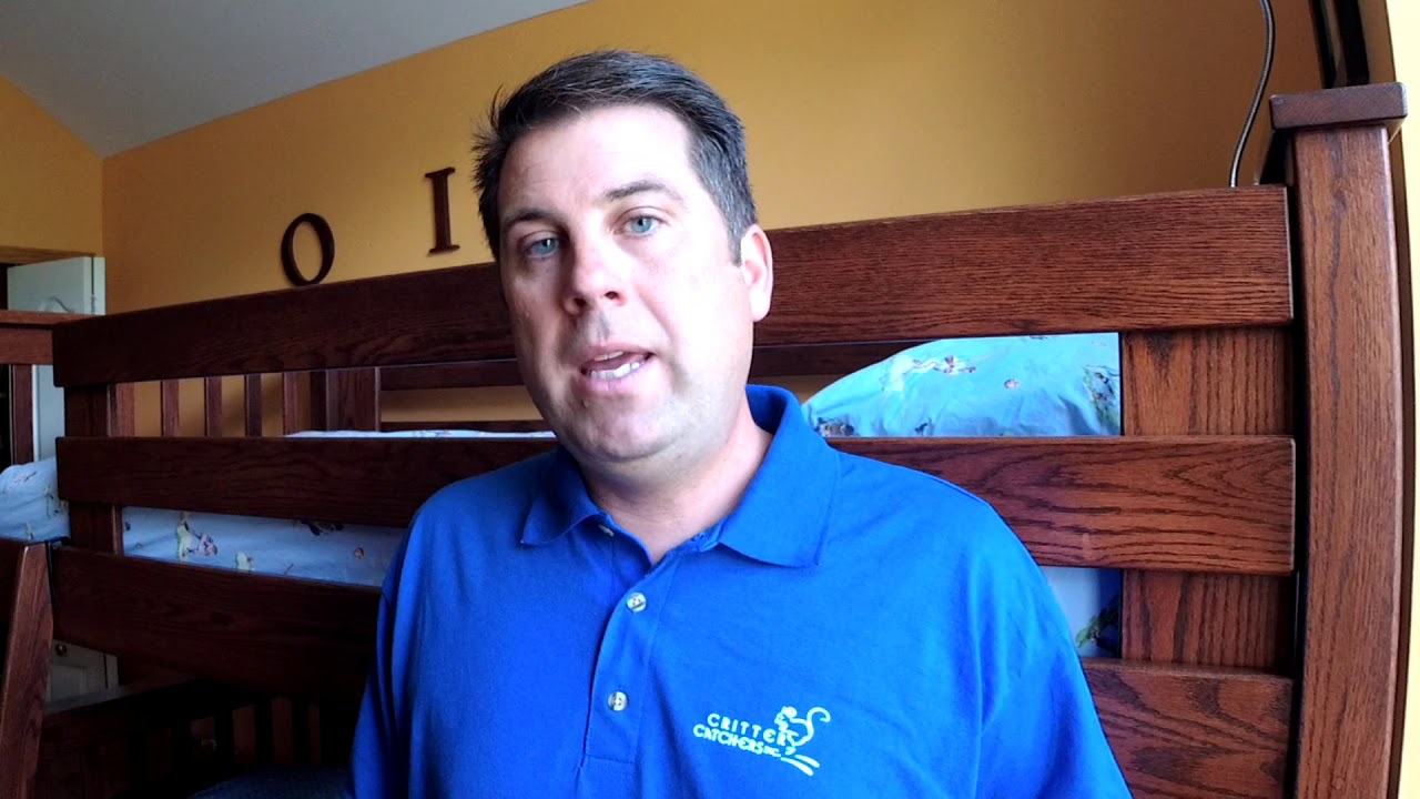 How to tell difference between Bed Bug and a Bat Bug?