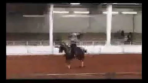 Harley staggs roping 2017 al