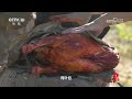 手抓羊肉和地锅羊肉的鲜味弥漫水畔 浓香喜人《味道》20231006 | 美食中国 Tasty China