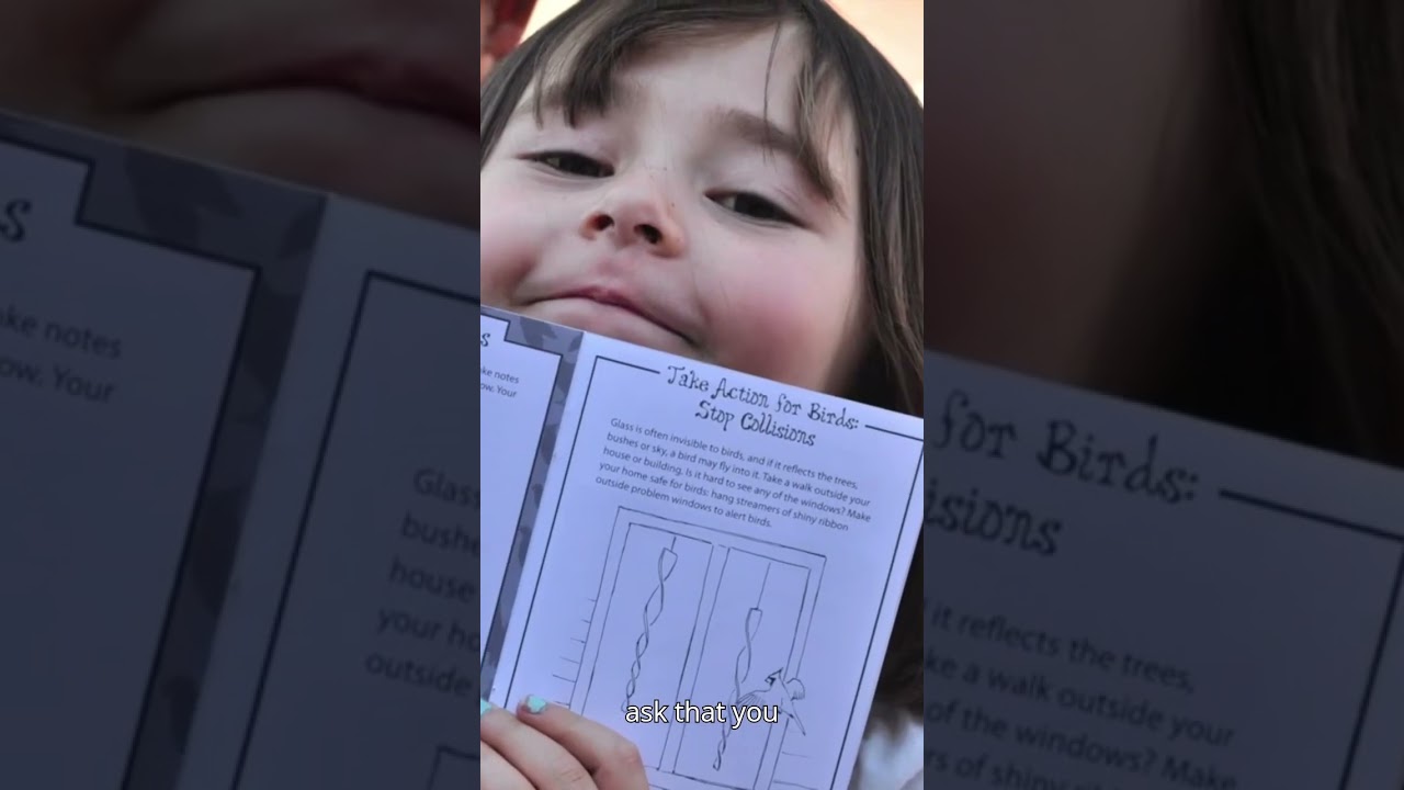 Celebrate a major milestone in bird conservation with us! 🦅🎉