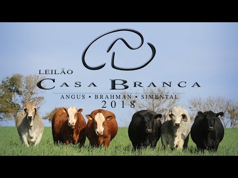 Lote 419 -  CABR ORFÃ 2412