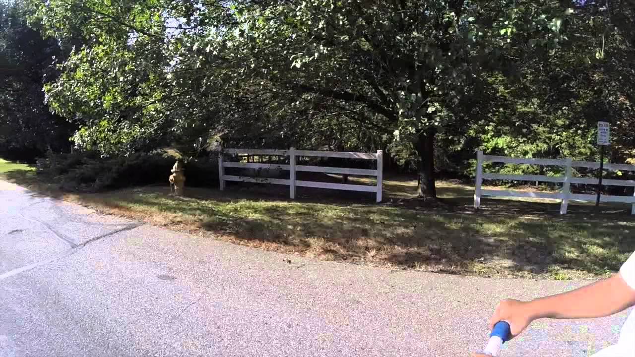 scooter libby A Scooter Adventure
