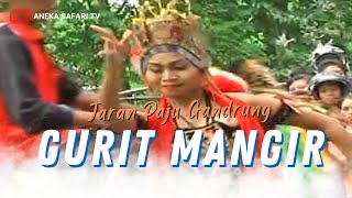 Gurit Mangir - Rita Fanesa (Official Music Video ANEKA SAFARI TV)