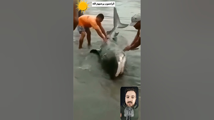 موقف رائع مع سمكة القرش .