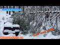 Pollock Pines, CA Winter Storm Tree Falling 2026
