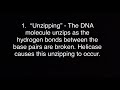 DNA replication