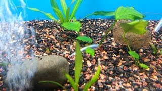 How To Prepare/Clean Rocks For Aquarium Use