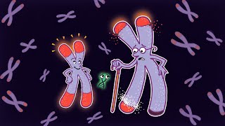 Cellular Aging and Telomeres | Breakthrough Junior Challenge 2026 | #breakthroughjuniorchallenge  Update