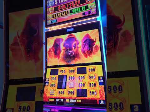 25 DOLLAR BONUS ON NEW DOUBLE BUFFALO!!!!!