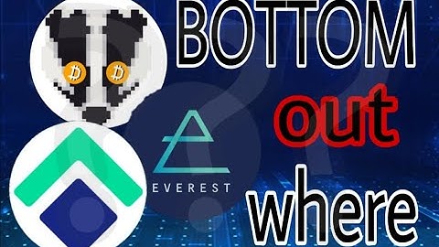 BADGER - ID - NORD // Bottom $ Bullparty $ Strong $ with YADO