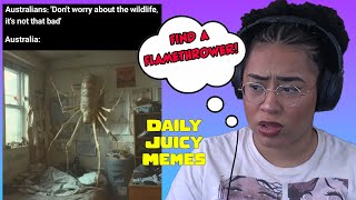 Australia Isn't Real! | Daily Juicy Memes