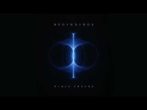 Ninja Tracks - Disappearance